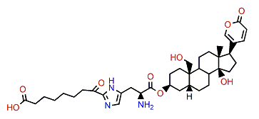 19-Hydroxybufalin 3-suberoyl-L-histidine ester